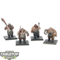 Ogre Kingdoms - 4x Ironguts - teilweise bemalt