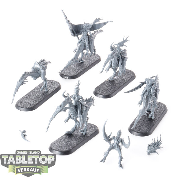 Hedonites of Slaanesh - 5x Seekers of Slaanesh - teilweise bemalt
