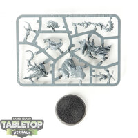 Gloomspite Gitz - Fungoid Cave-Shaman - im Gussrahmen