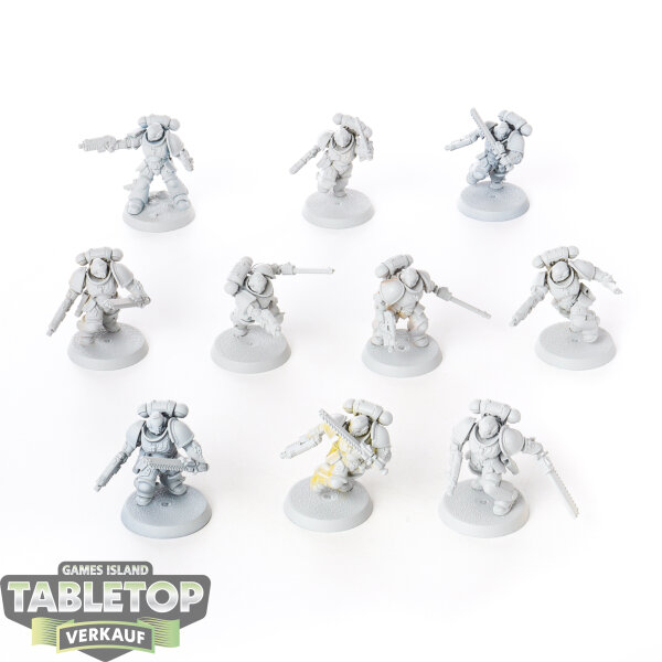 Space Marines - 10x Assault Intercessors - teilweise bemalt