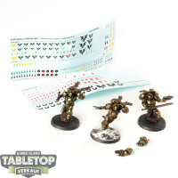 Blood Angels - 3 x Sanguinary Guard - bemalt