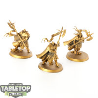 Stormcast Eternals - 3x Praetors - teilweise bemalt