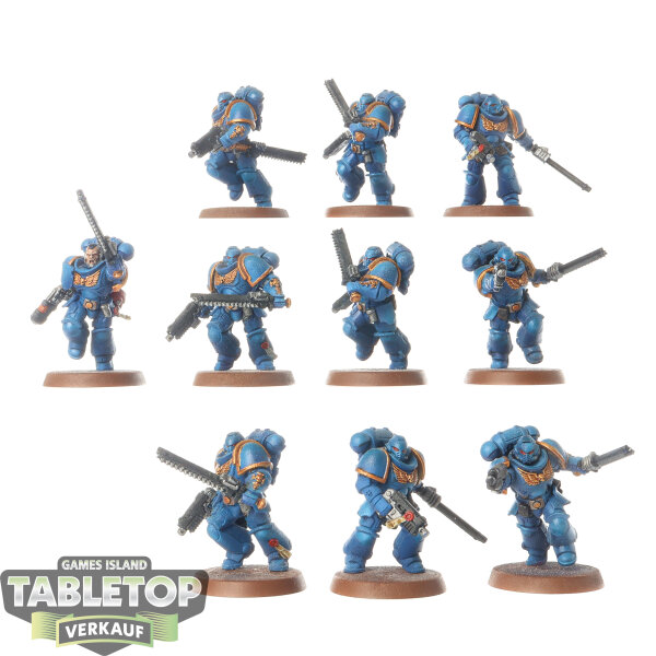 Space Marines - 10x Assault Intercessors - bemalt