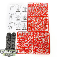 Blood Bowl - 12x Imperial Nobility Blood Bowl Team: The...