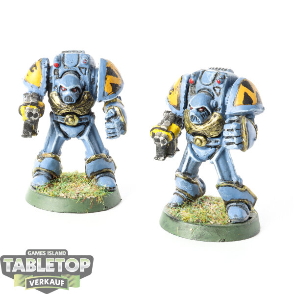 Space Wolves - 2 x Rogue Trader Terminator Exo Rüstung/Terminator marine (body 3) - bemalt