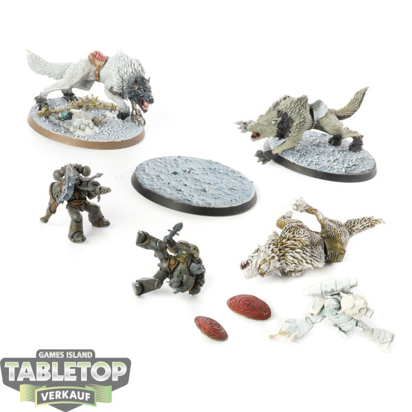 Space Wolves - 3x Thunderwolf Cavalry - teilweise bemalt