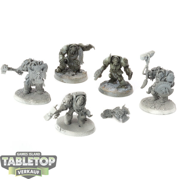 Space Wolves - 5x Wolf Guard Terminators - teilweise bemalt