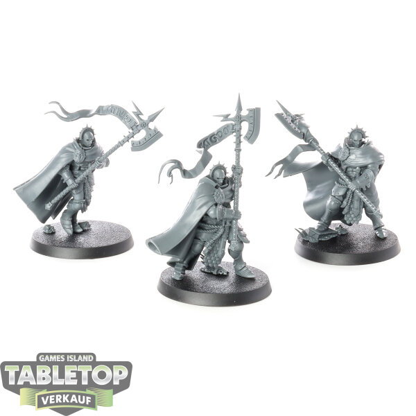 Stormcast Eternals - 3 Praetors - unbemalt
