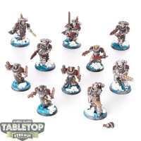 Black Templars - 10 x Primaris Crusader Squad - bemalt