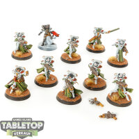 Adepta Sororitas - 10 x Dominion Squad - bemalt