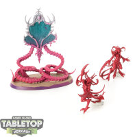 Hedonites of Slaanesh - The Contorted Epitome - teilweise...