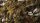 GamersGrass - Dark Green Shrubs