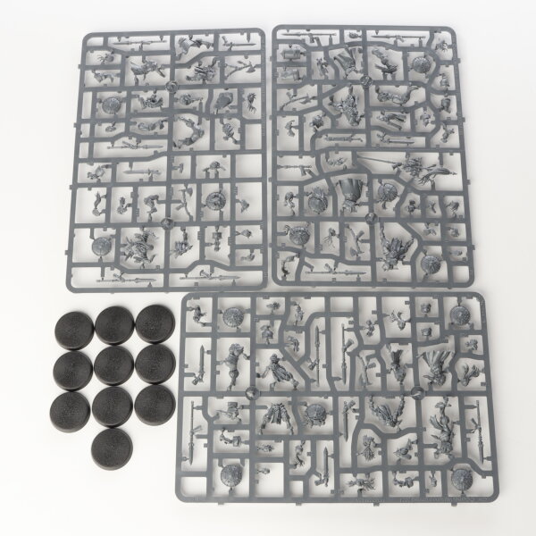 Slaves to Darkness - 10x Darkoath Marauders - im Gussrahmen