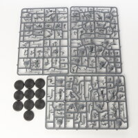 Slaves to Darkness - 10x Darkoath Marauders - im Gussrahmen