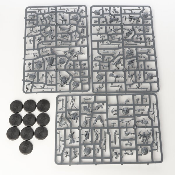 Slaves to Darkness - 10x Darkoath Marauders - im Gussrahmen