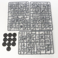 Slaves to Darkness - 10x Darkoath Marauders - im Gussrahmen