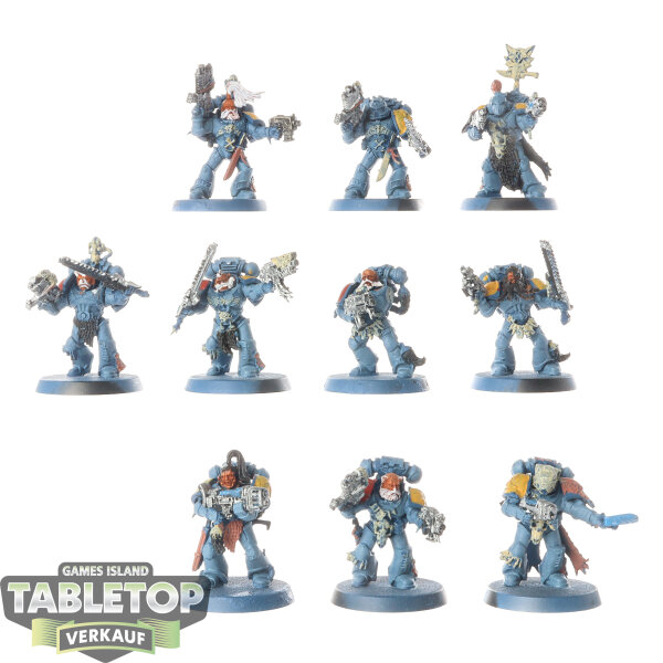 Space Wolves - 10 x Grey Hunters - teilweise bemalt