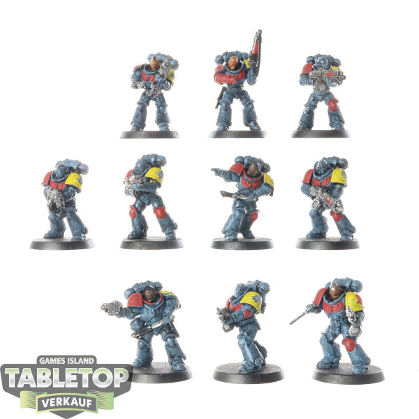 Space Wolves - 10 x Intercessors - teilweise bemalt