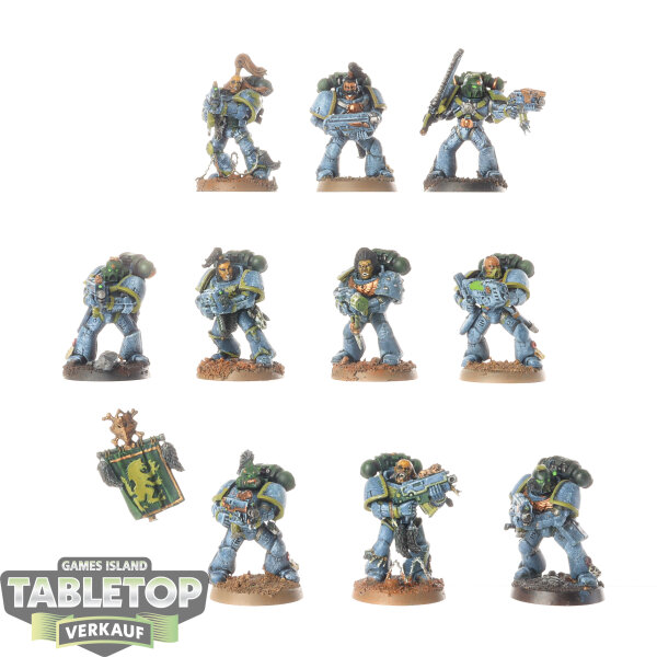 Space Wolves - 10 x Grey Hunters - bemalt