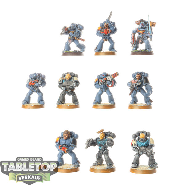 Space Wolves - 10 x Grey Hunters - bemalt