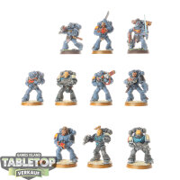 Space Wolves - 10 x Grey Hunters - bemalt