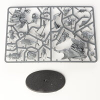 Stormcast Eternals - Lord-Vigilant on Gryph-Stalker - im...