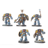 Space Wolves - 5 x Wolf Guard Terminators - bemalt