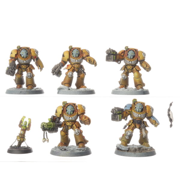 Space Wolves - 5 x Terminator Squad - bemalt