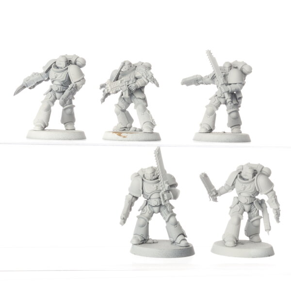 Space Wolves - 5 x Assault Intercessors - grundiert