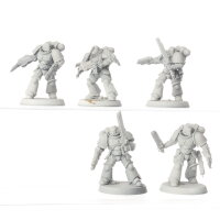Space Wolves - 5 x Assault Intercessors - grundiert