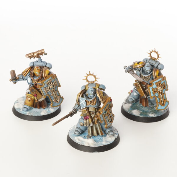 Space Wolves - 3 x Bladeguard Veterans - bemalt
