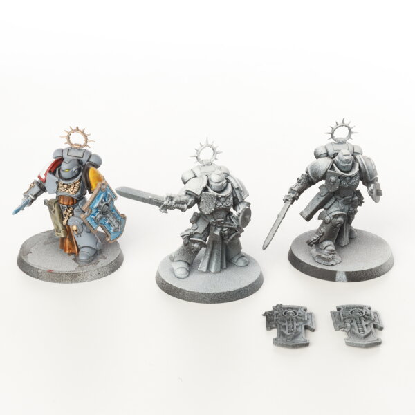 Space Wolves - 3 x Bladeguard Veterans - teilweise bemalt