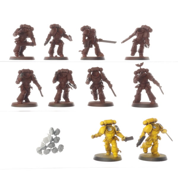 Space Marines - 10 x Assault Intercessors - teilweise gebaut