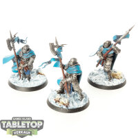 Stormcast Eternals - 3 x Praetors - bemalt