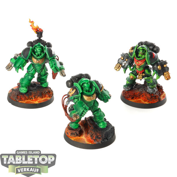 Salamanders - 3 Primaris Aggressors - teilweise bemalt