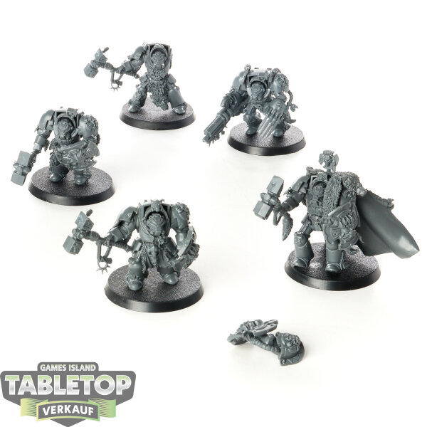 Space Wolves - 5x Wolf Guard Terminators - unbemalt