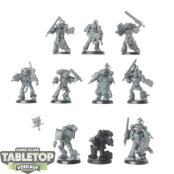Space Wolves - 10x Grey Hunters - teilweise bemalt