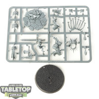 Stormcast Eternals - Gardus Steel Soul - im Gussrahmen