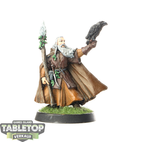 HdR Figuren - Gut - Radagast the Brown (Classic) - bemalt