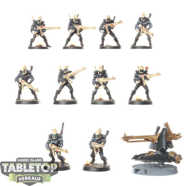 Aeldari - 10x Guardian Defenders klassisch - bemalt