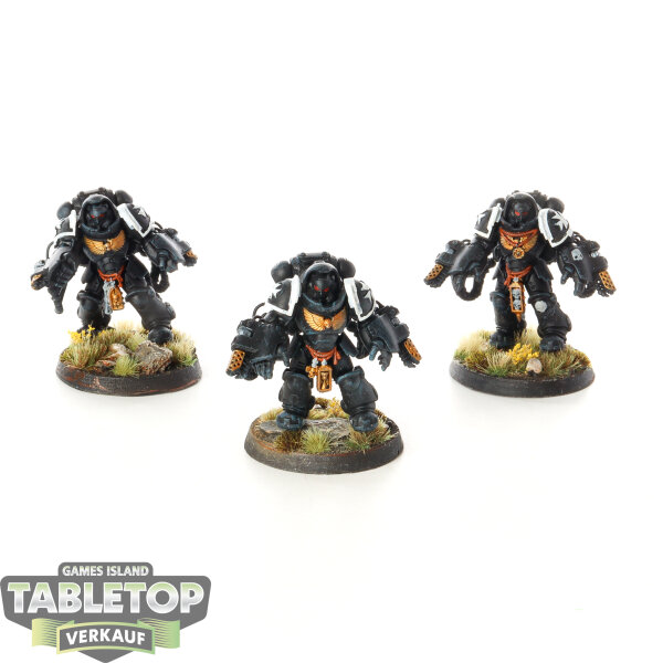 Black Templars - 3x Primaris Aggressors - teilweise bemalt