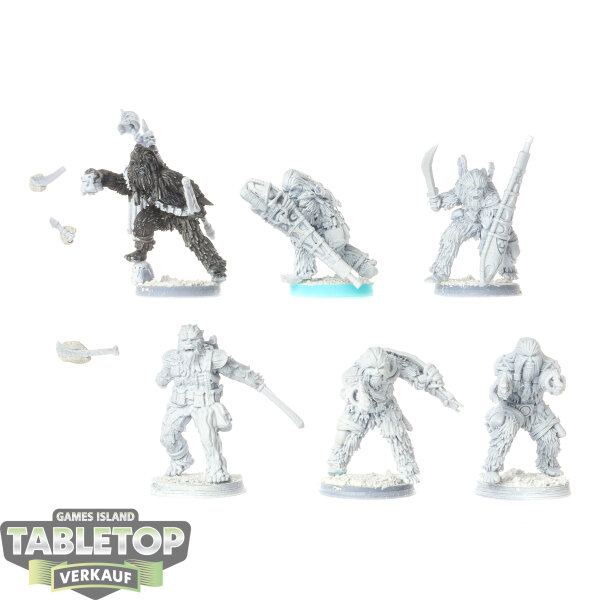Rebellen - 6x Wookie Warriors - teilweise bemalt
