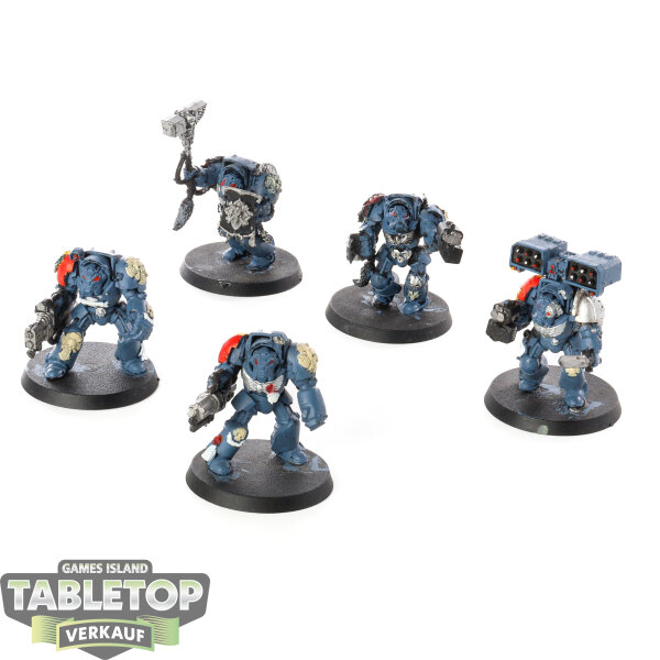 Space Wolves - 5x Wolf Guard Terminators - teilweise bemalt