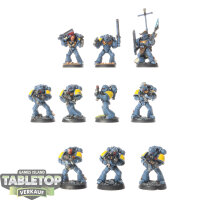 Space Wolves - 10 x Grey Hunters - bemalt