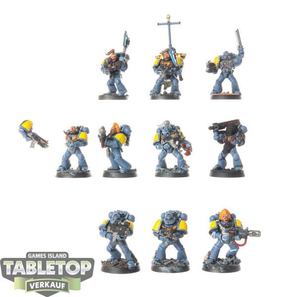 Space Wolves - 10 x Grey Hunters - bemalt