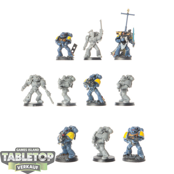 Space Wolves - 10 x Grey Hunters - teilweise bemalt