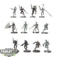 Drukhari - 12x Wyches - teilweise bemalt