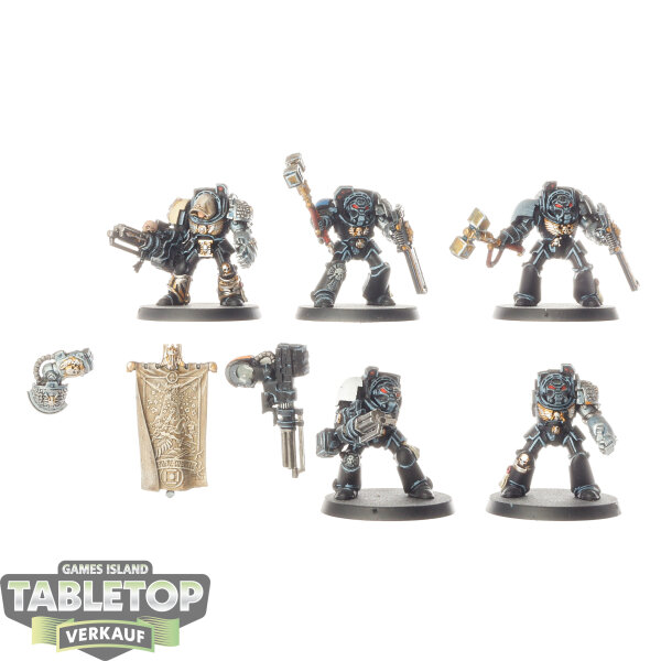 Deathwatch - 5x Terminator Squad - bemalt