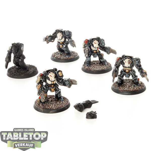 Black Templars - 5x Terminator Assault Squad - bemalt