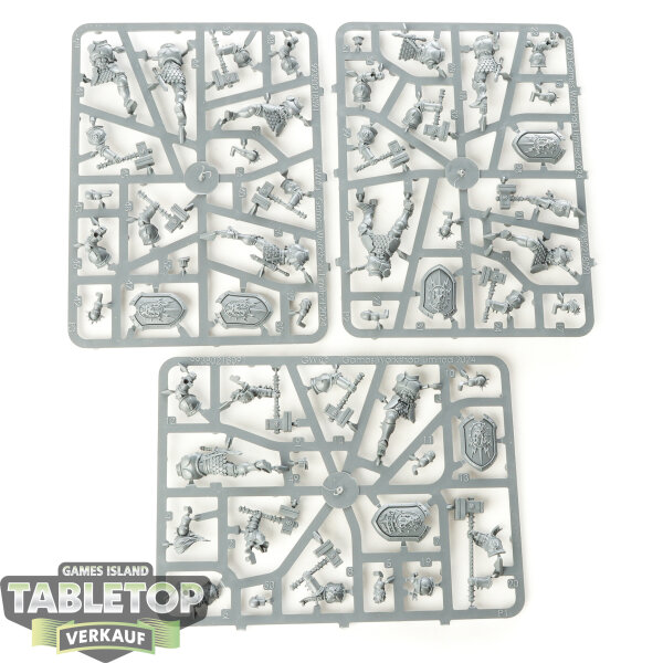 Stormcast Eternals - 5 x Liberators - im Gussrahmen